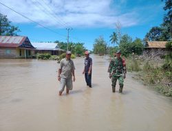 Personel Kodim 1403/Plp, Babinsa 07 Walenrang Pantau Luapan Air Sungai Lamasi di Desa Pompengan Tengah.