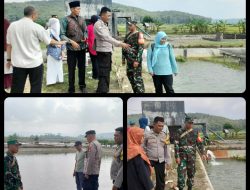 Sinergitas Babinsa Dan Bhabinkamtibmas Desa Raharja Bersama Forkopicam Monitoring Tinjau Ketahanan Pangan Kolam Ikan