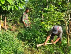 Wujudkan Lingkungan Bersih Dan Rapi, Babinsa Joyotakan Bersama Warga Kerja Bakti