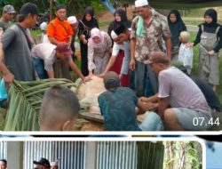 Penyembelihan Hewan Qurban Desa Widodaren Dilaksanakan di Alun-alun Kecamatan Sinunukan.