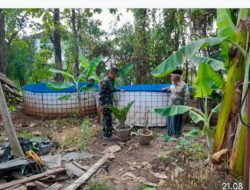 Babinsa Nogosari Motivasi Peternak Ikan Lele