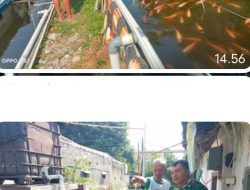 Tingkatkan Ketahanan Pangan, Babinsa Pajang Berikan Motivasi Kepada Peternak Ikan