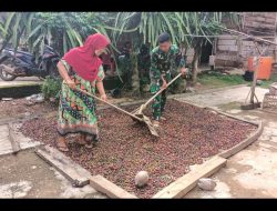 Satgas TMMD ke-121 Kodim 0424/Tanggamus Bantu Warga Jemur Kopi