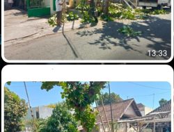 Peduli Keselamatan, Babinsa Purwosari Bersama Warga Laksanakan Perampalan Ranting Pohon Yang Menjorok Ke Jalan