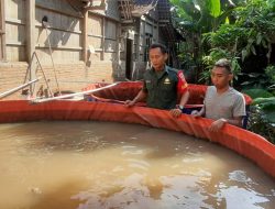 Babinsa Berbagi Ilmu, Dorong Peternak Lele di Desa Karangudi Menuju Sukses