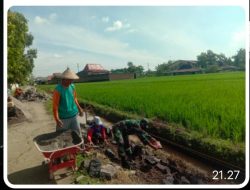 Bersama Membangun Talud Irigasi Sebuah Tindakan Nyata untuk Masa Depan Petani yang Lebih Baik