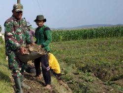 Babinsa Simo Bantu Warga Perbaiki Saluran Irigasi