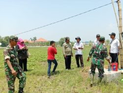 Babinsa Kwanyar Dampingi Kunker Staf Perlintan Kementerian Pertanian di Desa Pesanggrahan