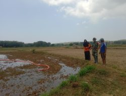 Sertu Sutikno Dampingi Petani Dalam Pengairan Sawah