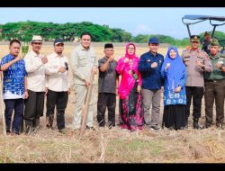 Suardi Saleh Hadiri Acara Mappalili Turun Sawah Tingkat Kecamatan Barru