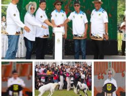 FESTIVAL TERNAK DOMBA KAMBING KEMBALI DIGELARPEMERINTAH KABUPATEN BOGOR