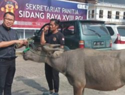 Putri Dakka Serahkan Bantuan Satu Ekor Kerbau Kepada Ketua Sinode Gereja Toraja