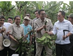 Kemenhut Akan Pasok Program Makan Bergizi Gratis Melalui Hasil Komoditas Produk Petani Hutan Lokal