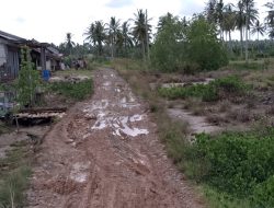 Jalan Rusak Dikeluhkan Warga Reporma Desa Mekarsari Kecamatan Panimbang Pandeglang-Banten.