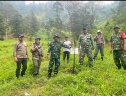 Koramil Selo Lakukan Perawatan Dan Penanaman Pohon di Tuk Babon