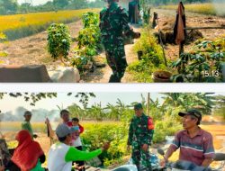 Dukung Ketahanan Pangan, Babinsa Koramil 0817/06 Manyar Laksanakan Komsos dan Pompanisasi Bersama Petani di Desa Pongangan