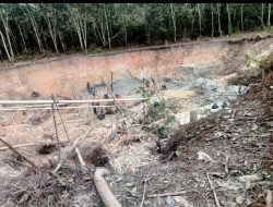 “INFORMASI BUAT KAPOLDA JAMBI,  TAMBANG EMAS DIDUGA ILLEGAL MILIK KEMPLING DI MEKAR SARI – TAMBANG BARU,  TABIR LINTAS TERKESAN KEBAL HUKUM !?”