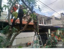 Aksi Koramil 0831/04 Sukolilo Bersihkan Pohon Tumbang Pasca Puting Beliung