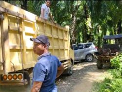 “Begal TBS (Tandan Buah Segar) Milik Warga Terjadi di Siang Bolong ?!”