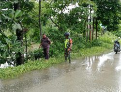 Pemdes Libureng Bersama Babinsa Pantau Kondisi Banjir Di Panincong