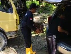 “Pihak Perusahaan PTPN IV Coba Laporkan Kembali Masyarakat Yang Diduga Telah Membuat Laporan Polisi ke Polres Madina ?!”