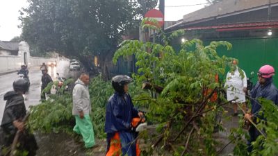 Gercep…!!! Babinsa Keprabon Bersama BPBD, Linmas Dan Warga Masyarakat Evakuasi Pohon Tumbang