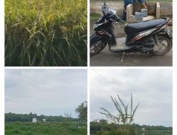 “Hasil Investigasi Awak Media di Lapangan Terkait Limbah ?!”