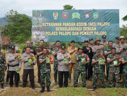 Kodim 1403/Palopo Manfaatkan Lahan Tidur untuk Meningkatkan Ketahanan Pangan