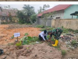 Koramil 01/Kuala Simpang Bersama Forkopimcam Penanaman Pohon Dalam Rangka Gerakan Aksi Hijaukan Nanggroe Aceh (Tahiroe Aceh)