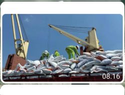 Perkuat Ketahanan Pangan Nasional, Pelindo Multi Terminal Group Pastikan Kelancaran Bongkar Komoditas Beras