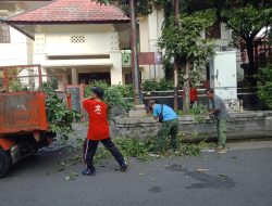 Antisipasi Korban Jiwa, Babinsa Bersama Warga Laksanakan Goyong Royong Perempelan Ranting Pohon