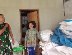 Dukung Swasembada Pangan Babinsa Klego Lakukan Pengecekan Pupuk Di Desa Gondanglegi