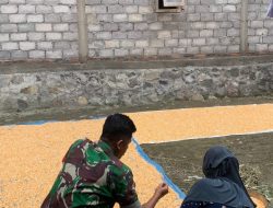 Babinsa Kemusu Aktif Sambangi Petani Desa Kendel