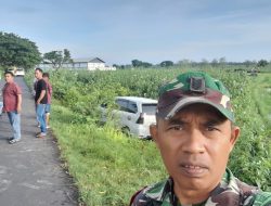 Mobil Terjun Masuk Sawah, Babinsa Turun Tangan ajak Warga Labang