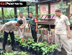 TNI-Polri dan Stakeholder Dukung Program Pekarangan Bergizi di Loteng.