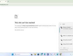 “Diduga Blokir Situs Berita Online Pada Akses WiFi, Pemprov Banten Diminta Tidak Anti Kritik ?!”
