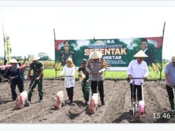 Polres Kediri Kembali Melaksanakan Program Penanaman Jagung Sebagai Bagian Dari Upaya Mendukung Swasembada Pangan Nasional.