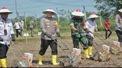 Kapolda Jatim dan Pj. Gubernur Tanam Jagung Serentak 1 Juta Hektar di Blitar Untuk Ketahanan Pangan Nasional