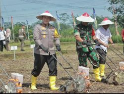 Kapolda Jatim dan Pj. Gubernur Tanam Jagung Serentak 1 Juta Hektar di Blitar Untuk Ketahanan Pangan Nasional