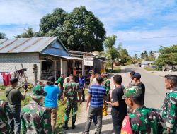 Antisipasi Perubahan Iklim GP Ansor Kabupaten Matim Sukses Tanam Pohon Cemara India.