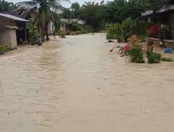 Ratusan Rumah di Kecamatan Dolok Masihul Terendam Banjir Dengan Ketinggian Satu Meter