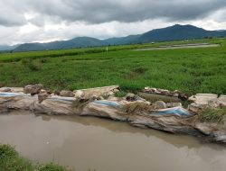 Proyek Irigasi Yang Jebol Di So Amamaka Segera di Perbaiki, Janji PPK BWS Wilayah Sumbawa.