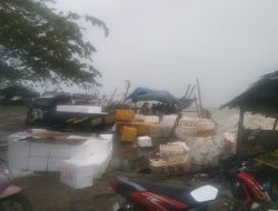 PENAMPUNG PEMBELI IKAN CEKONG DI PANTAI CINTA DESA MEKARSARI TELAH MEMBANTU PARA NELAYAN CUACA EKSTRIM