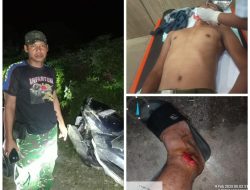 Korban Berjatuhan Hingga Masyarakat Minta Satpol PP & WH Tertibkan Hewan Ternak Berkeliaran Di Jalan Umum