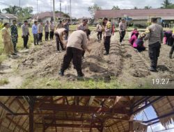 GO…!! KETAHANAN PANGAN LAUNCHING P2L, POLSEK JEBUS SEBAR BIBIT IKAN DAN TANAM SAYURAN DAN SINGKONG