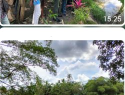 ANAK UMUR 4 TAHUN HILANG SAMPAI SAAT INI MASIH BELUM DIKETEMUKAN, LAPORANNYA SUDAH MASUK KE POLSEK MUARA HARUS TABALONG.