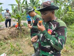 Satgas Dapat Dukungan Logistik Hasil Bumi Warga