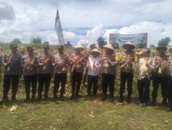 Kapolres Dompu Pimpin Panen Raya Jagung Serentak Di Desa Sukadamai.