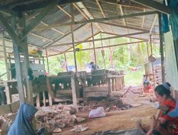 HADIRNYA TAMBANG EMAS DESA KUSUBIBI BANYAK MEMBERIKAN LAPANGAN PEKERJAAN BAGI MASYARAKAT SETEMPAT MAUPUN DI DESA – DESA PESISIR LINGKAR TAMBANG.