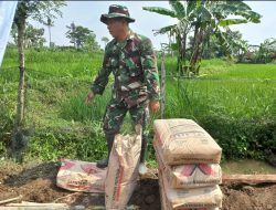 Komposisi Adukan Beton Tak Boleh Salah Terutama Campuran Semen